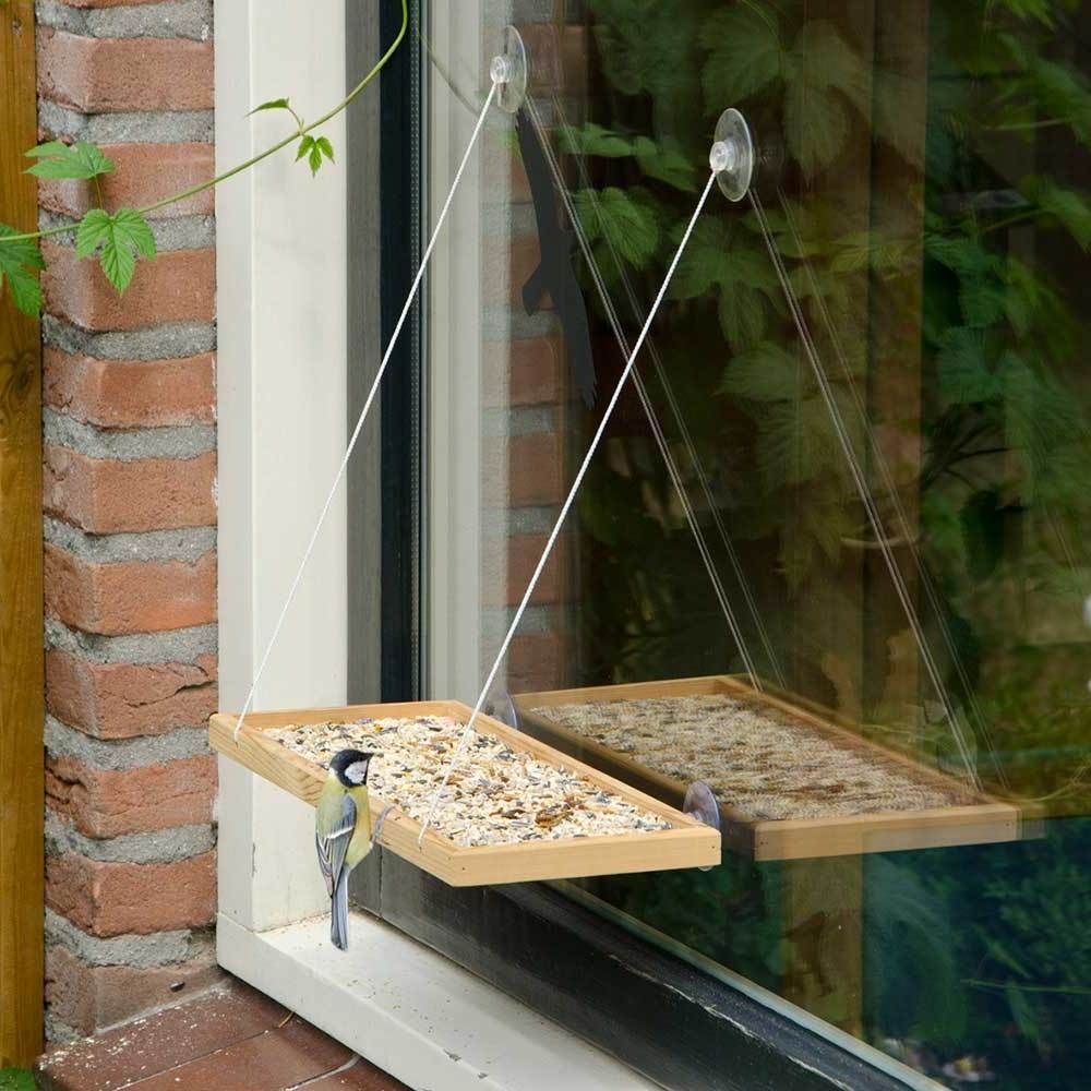 Uitrusten verlichten Netjes Doorzichtig vogelhuisje voor aan raam - Cadeau voor Oma.nl