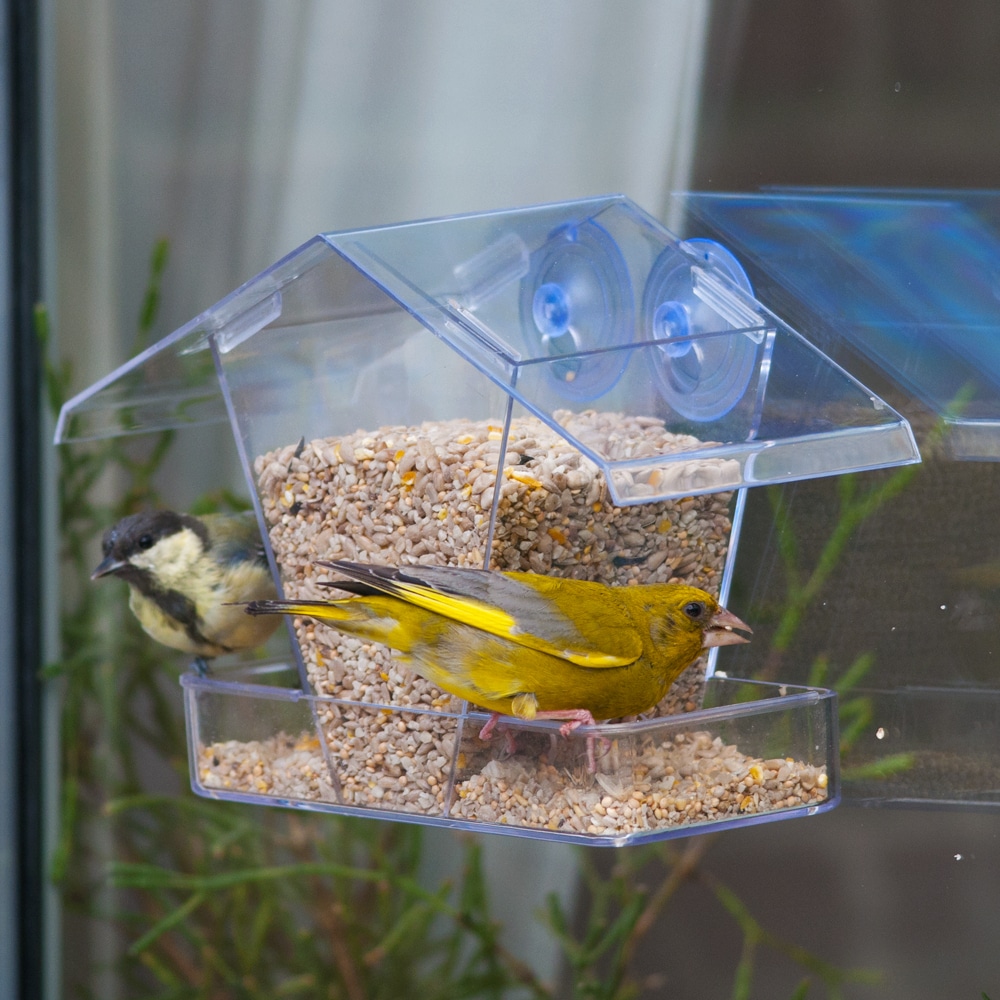 doorzichtig vogelhuisje - voederhuisje vogels raam