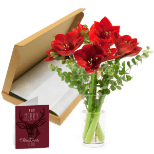 bloemen door de brievenbus