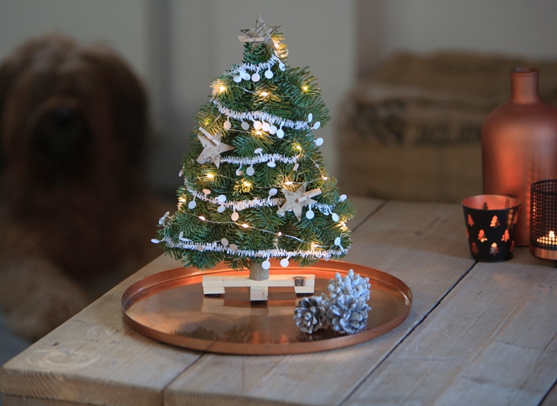 lief kerstcadeautje voor Oma