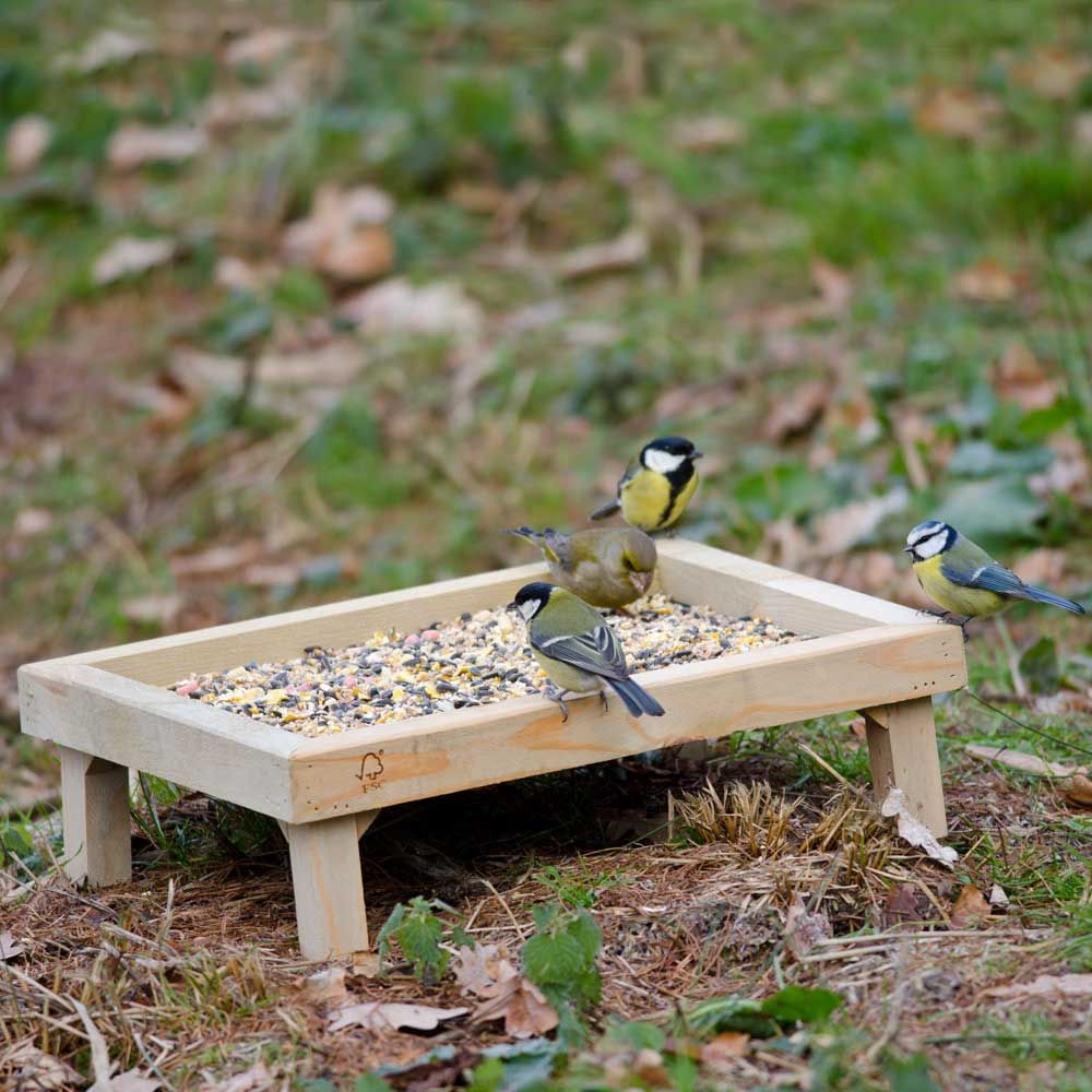 Voedertafel vogels - Cadeau voor opa en oma