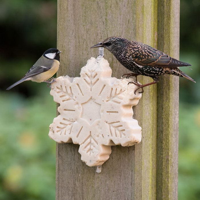 Vettraktatie vogels - Sneeuwvlok kleinigheidje voor kerst - vettraktatie vogels
