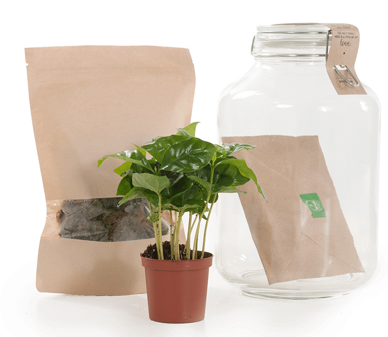 cadeau voor oma 90 jaar - zelfvoorzienende plant