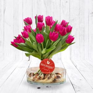 Tulpen met de bol er nog aan cadeau voor oma - bijzondere tulpen