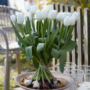 Tulpenboeket - cadeau voor Oma cadeau voor dame 80 jaar - boeket bijzondere tulpen