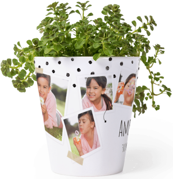 Bloempot met eigen foto's bloempot met foto's - leuk cadeau voor oma