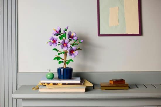 Hibiscus - bouwset Blijvende bloemen - Cadeau voor Oma